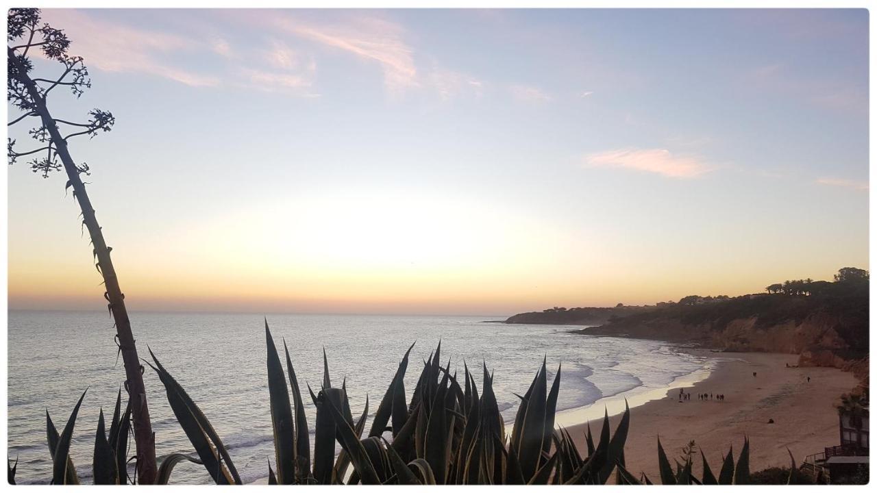 Sunset Villa By Laranjal Rentals Olhos de Agua  Eksteriør billede